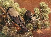 bruno liljefors Hooded Crows Spain oil painting artist